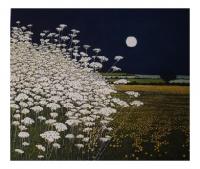 Moon Lights  by Phil Greenwood